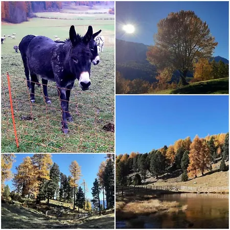 公寓 Hinteregger *